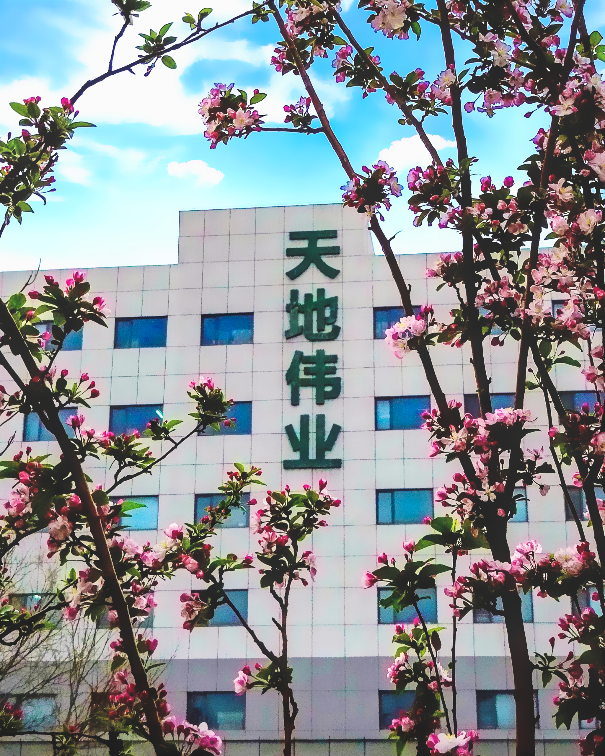 十三国际官网-追求康健,你我一起生长